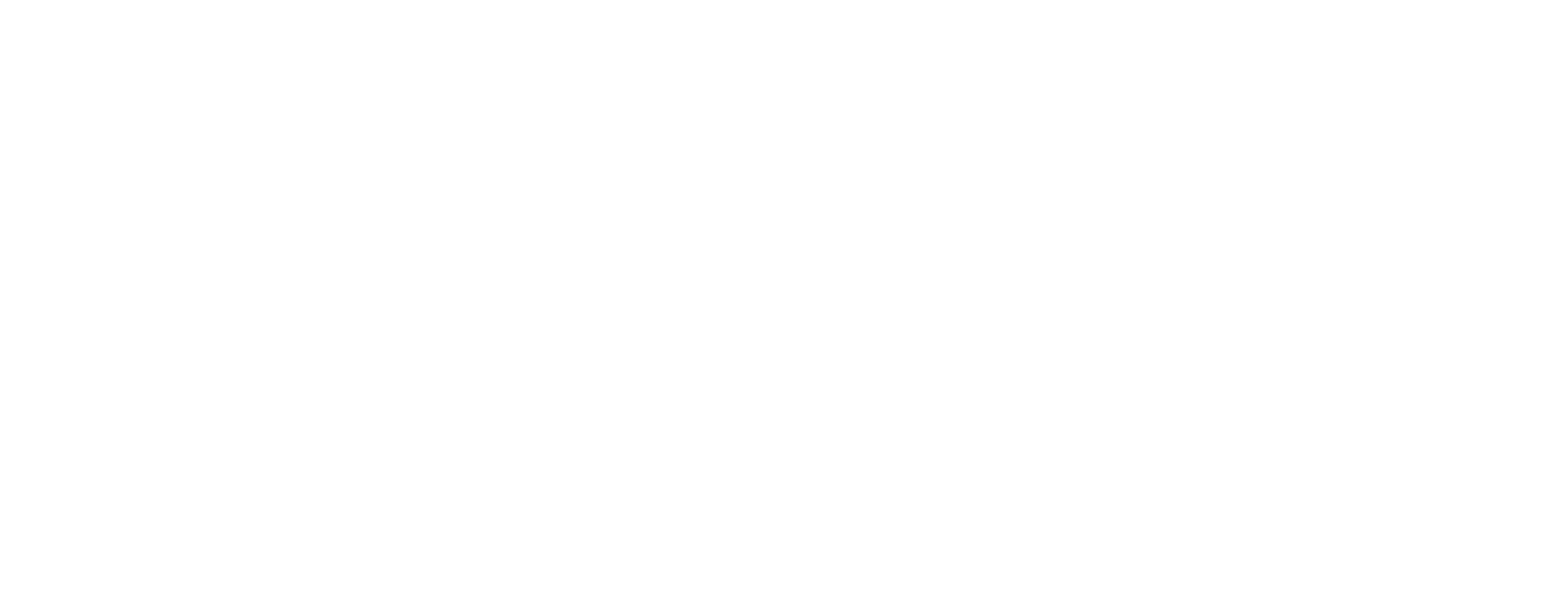 stom-logo