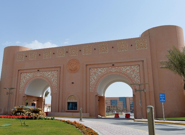 King Faisal University